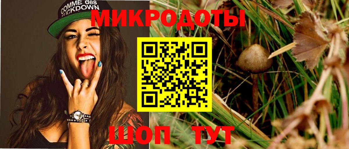 Псилоцибиновые грибы GOLDEN TEACHER  Вход с VPN  Галлюциногенные грибы мицелий  Советск 