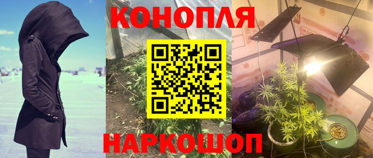 Канабис ГИДРОПОН Советск